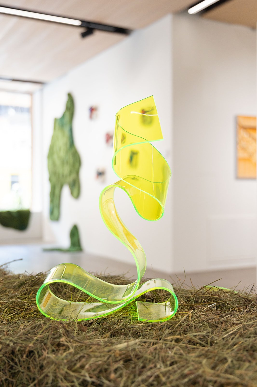 curious summer (c) kirstin hauk-10_FAV.jpg