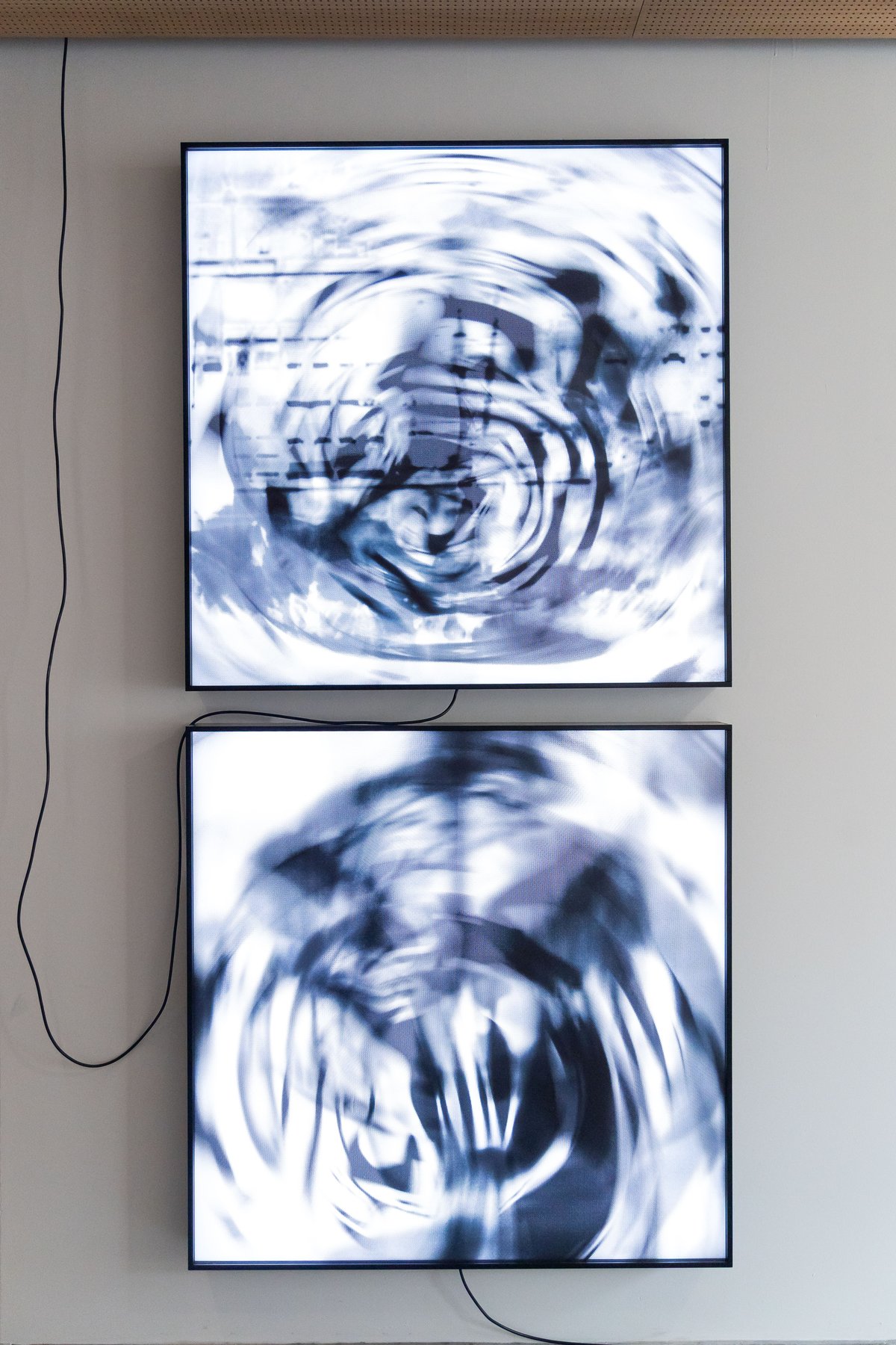 human prompt preview (c) kirstin hauk-5.jpg